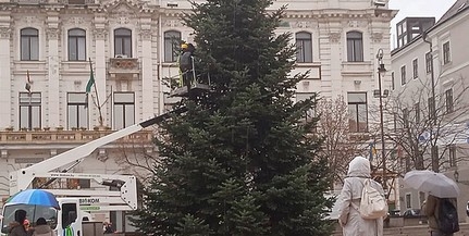 Megérkezett pénteken a Széchenyi térre a mindenki karácsonyfája