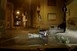 Részeg robogóst hajkurásztak Pécs belvárosában a rendőrök - Videó! Részeg robogóst hajkurásztak Pécs belvárosában a rendőrök - Videó!