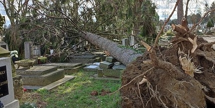 Rombol a viharos szél Pécsett, a balesetveszélyessé vált temetőt le kellett zárni
