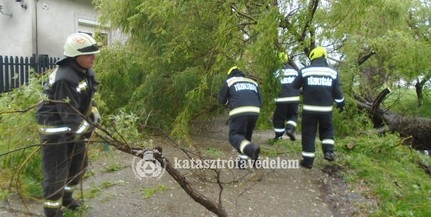 Sínekre, utcára dőlt fákat is el kellett takarítaniuk a tűzoltóknak Baranyában