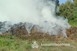 Lángoló lótrágya veszélyeztetett egy erdőt Baranyában