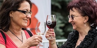 Nagy buli lesz az októberi vörösbor fesztivál Villányban