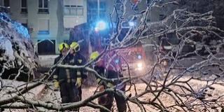 Több helyen is útzárat okoztak a hó súlya miatt kidőlt fák Baranyában Több helyen is útzárat okoztak a hó súlya miatt kidőlt fák Baranyában