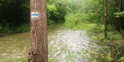 Teljes erdőlátogatási tilalmat rendeltek el