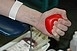 Véradásra szóló felhívást tett közzé a Magyar Vöröskereszt