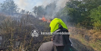 Szabadtéren keletkezett tüzek pusztítottak hétfőn Baranyában