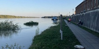 Kedden éri el a dunai árhullám tetőpontja Dunaszekcsőt és Mohácsot Kedden éri el a dunai árhullám tetőpontja Dunaszekcsőt és Mohácsot