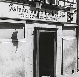 A pécsi István pince túlélt mindent: forradalmat, háborúkat és a rendszerváltást is