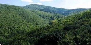 Országszerte javult a levegő minősége Országszerte javult a levegő minősége