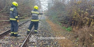 Utakra, sínekre, épületekre és parkoló autókra is dőltek fák a szerdai viharban Baranyában