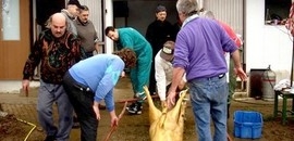 Igazi, hagyományos sváb disznóvágás Igazi, hagyományos sváb disznóvágás