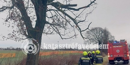 Fákat tépázott meg a hétvégén a szél Baranyában