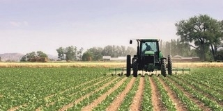 Nagyon hiányzik a csapadék, nem halad a talajok feltöltődése