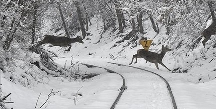 Az átlagosnál enyhébb és szárazabb volt a január