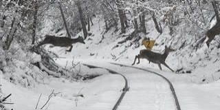 Nagyon sok furcsaságot találtak a tavalyi év időjárásában Nagyon sok furcsaságot találtak a tavalyi év időjárásában