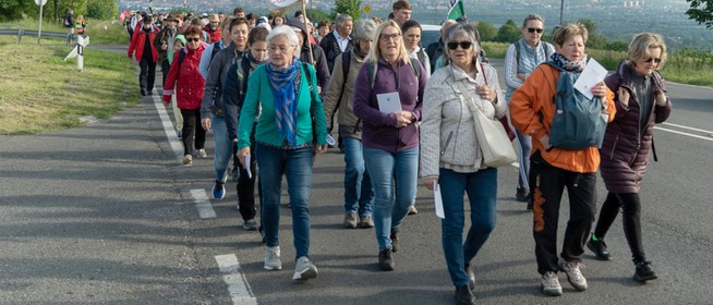 Több százan vettek részt a Pécs és Máriagyűd közötti gyalogos zarándoklaton Több százan vettek részt a Pécs és Máriagyűd közötti gyalogos zarándoklaton