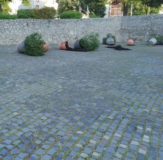 Vandál pusztítás a Barbakánnál: kitépték a leandereket, összetörték a dézsákat Vandál pusztítás a Barbakánnál: kitépték a leandereket, összetörték a dézsákat
