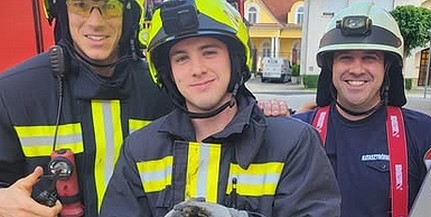 Szorult helyzetbe került fecskét menekítettek meg a mohácsi tűzoltók a magasból Szorult helyzetbe került fecskét menekítettek meg a mohácsi tűzoltók a magasból