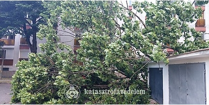 Komoly károkat okozott a hétvégi vihar Baranyában - Fákat, tűzfalat döntött a szél Komoly károkat okozott a hétvégi vihar Baranyában - Fákat, tűzfalat döntött a szél