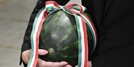 Jó minőségű dinnyével elindult a magyar dinnyeszezon - Irány a piac! Jó minőségű dinnyével elindult a magyar dinnyeszezon - Irány a piac!