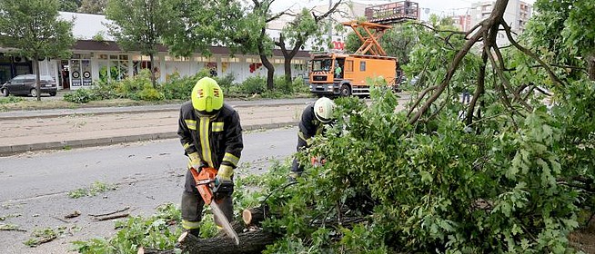 Csaknem háromezer viharkárt számoltak fel a katasztrófavédelem tűzoltóegységei Csaknem háromezer viharkárt számoltak fel a katasztrófavédelem tűzoltóegységei