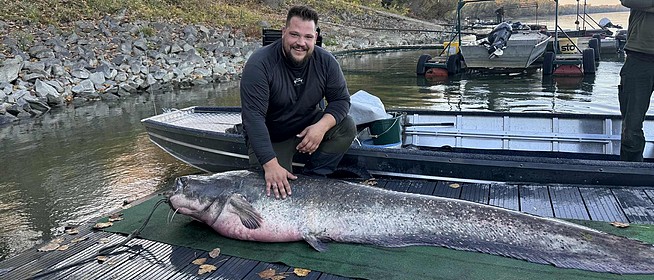 Ez aztán hatalmas: kapitális méretű harcsát fogott egy horgász Mohácsnál