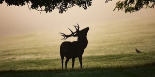 Ránk rúgta az ajtót az ősz: esővel indul a hét, aztán ködös, fagyos reggelek jönnek