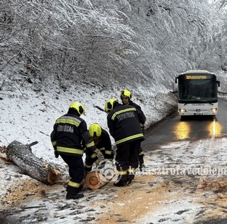 Kidőlt fák, leszakadt ágak: rengetegszer riasztották hétvégén a tűzoltókat