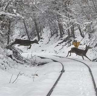 Faggyal, havazással és széllel búcsúzik az esztendő, az új év első napjai változást hoznak