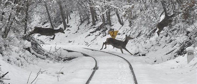 A helyzet fokozódik: csütörtök reggelig majd' negyven centis hótakaró borítja be Baranyát
