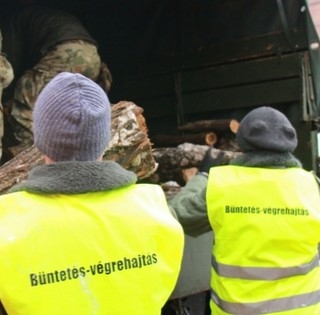 Célba értek az első ingyenes tűzifaszállítmányok - Fogvatartottak is segítik a munkát