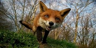 Egy kis napsütésre és tíz fokra is számíthatunk kedden