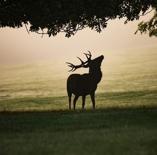 Beleszédülünk, ami vár ránk a héten: eső, szél, lehűlés, enyhülés, majd újabb lehűlés