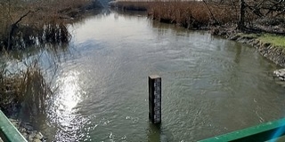 Idén először érkezik pótlás az éltető vízből a Mohács melletti holtágakba