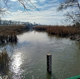 Idén először érkezik pótlás az éltető vízből a Mohács melletti holtágakba