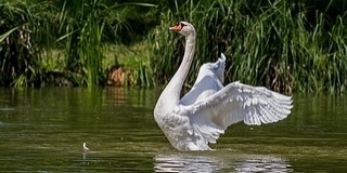 Napsütéses, kellemes napunk lesz szombaton