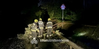 Kidőlt fák, leszakadt ágak: rengetegszer riasztották hétvégén a tűzoltókat
