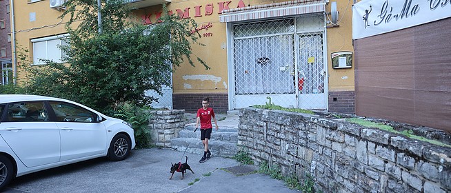 Ez bizony nem kismiska: csaknem hetven éve nyílt meg Uránvárosban a Misi