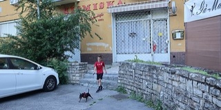 Ez bizony nem kismiska: csaknem hetven éve nyílt meg Uránvárosban a Misi