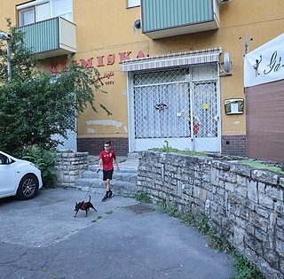 Ez bizony nem kismiska: csaknem hetven éve nyílt meg Uránvárosban a Misi