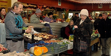 Tizennégyezer aláírás a pécsi Vásárcsarnokért Tizennégyezer aláírás a pécsi Vásárcsarnokért