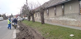 Olvasói levél: Olvasói levél: