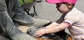 Kétnapos húsvéti hangolódó a Misinán Kétnapos húsvéti hangolódó a Misinán