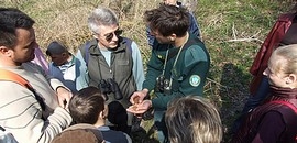Bazsarózsa-túra a Kelet-Mecsekben Bazsarózsa-túra a Kelet-Mecsekben