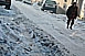 Kétszázmillióba kerül az idei pécsi tél