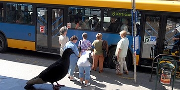 Fizessen a buszon kevesebbet! Fizessen a buszon kevesebbet!