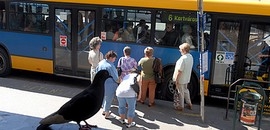 Fizessen a buszon kevesebbet! Fizessen a buszon kevesebbet!