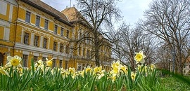 Leőwey gimnázium: irány a bőrklinika Leőwey gimnázium: irány a bőrklinika