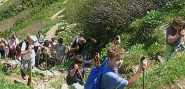 Gyalogtúra a Villányi-hegységben Gyalogtúra a Villányi-hegységben