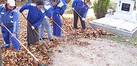 Városháza: újabb két vezető repült Városháza: újabb két vezető repült